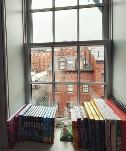 A window with a city view showing brick buildings, lined with colorful books on the sill and a small figurine.