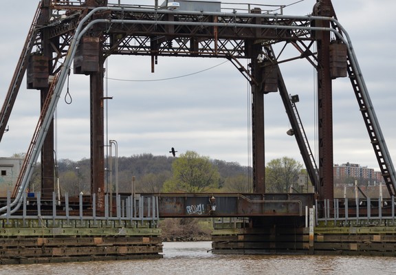 a bridge over the Anacostia which can be raised, but I'm not sure why - pretty sure the water is quite shallow here.

The structure to raise the bridge is framing a cormorant against the sky