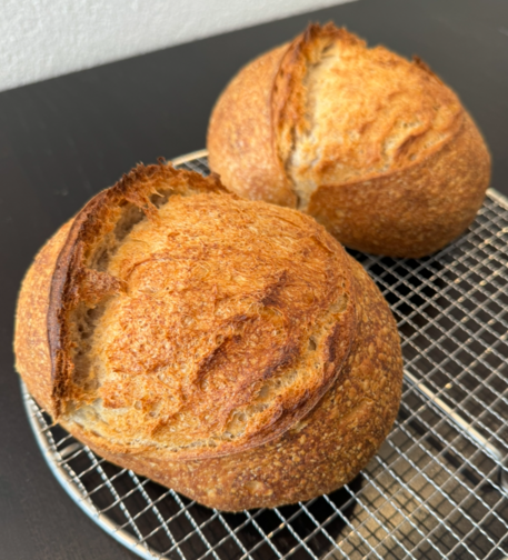 Two loafs of sour dough bread on a cooling rack. The crust has nice spots and the loafs have risen well in the oven.