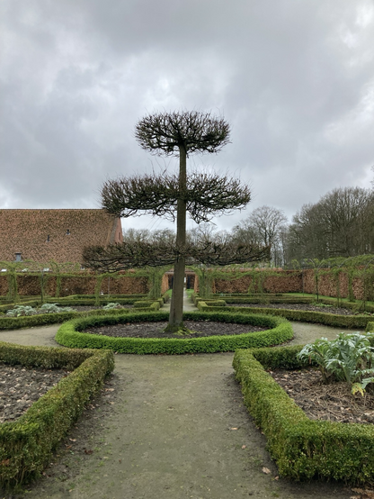 Strakke assen lopen door de borg en de tuin met nu nog wat kool, artisjok en kardoen. De muren rondom de tuin houden de schaarse warmte binnen en de vernijnige wind buiten  