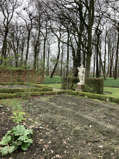 Hercules kijkt ongeduldig naar de rabarber en de asperges in de vierkante groentebedden