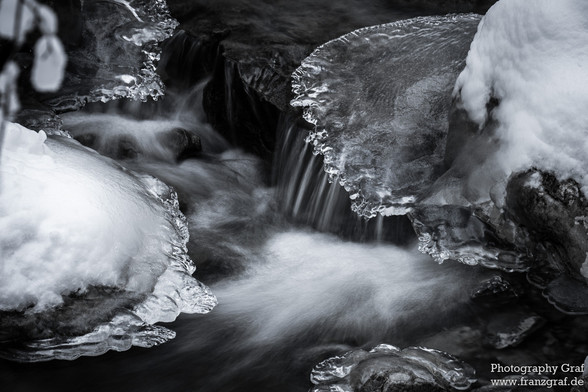 This image captures a serene, small waterfall cascading gently into a river, set against a backdrop that whispers the essence of winter. The landscape is enveloped in snow, creating a harmonious blend with nature's quietude. The black and white tonality of the photograph enhances the timeless beauty of this winter scene, emphasizing the contrasting textures of the flowing water and the snowy banks. Amidst this tranquil setting, a mammal, possibly searching for food or simply crossing the water,…