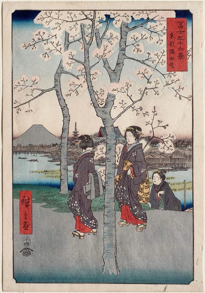Ukiyoe depicting cherry blossom viewing.

Image thanks to - https://ukiyo-e.org.