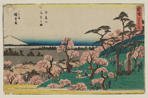 Ukiyoe depicting cherry blossom viewing.

Image thanks to - https://ukiyo-e.org.