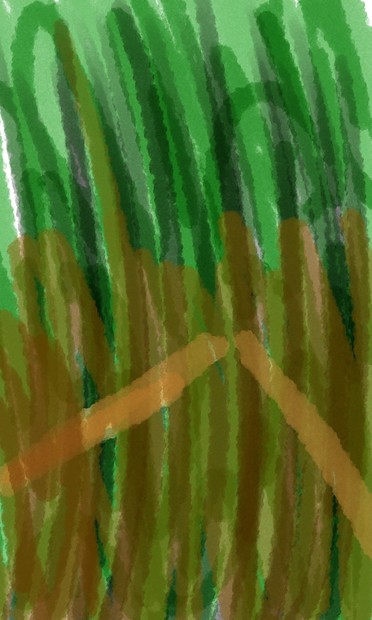 Arashiyama Bamboo Grove Forest