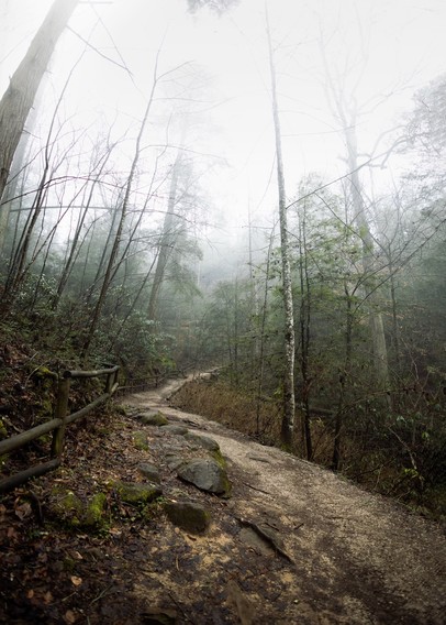 Photo of a wooded trail in Kentucky.