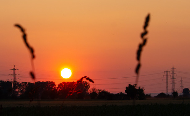 Motiv: Das Bild zeigt einen malerischen Sonnenuntergang über einem Feld mit Silhouetten von Pflanzen im Vordergrund und Strommasten im Hintergrund.

Bildformat: Das Bild ist im Querformat aufgenommen, wobei der Fokus auf der untergehenden Sonne liegt, die den Himmel in warme Farbtöne taucht.

Genre: Es handelt sich um ein Landschaftsfoto mit Elementen der Natur- und Umweltfotografie.

Hintergrund: Der Hintergrund besteht aus einem offenen Feld, Strommasten und Bäumen, die alle von den warmen Farben des Sonnenuntergangs beleuchtet werden.

Farben: Die dominierenden Farben sind warme Orangetöne, Rottöne und Violett, die durch den Sonnenuntergang erzeugt werden. Die Silhouetten von Pflanzen und Strommasten sind dunkel.