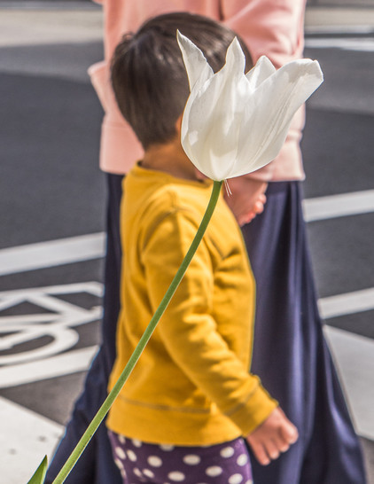 Boy in yellow shirt, walking on street in Japan, holding a woman's hand with white flower obscuring his face.