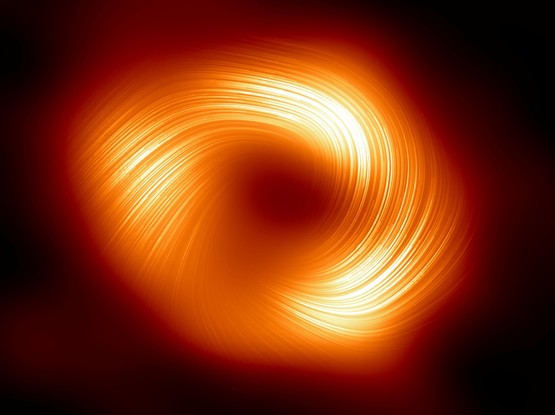 EHT polarized image of Milky Way's Sgr A* black hole