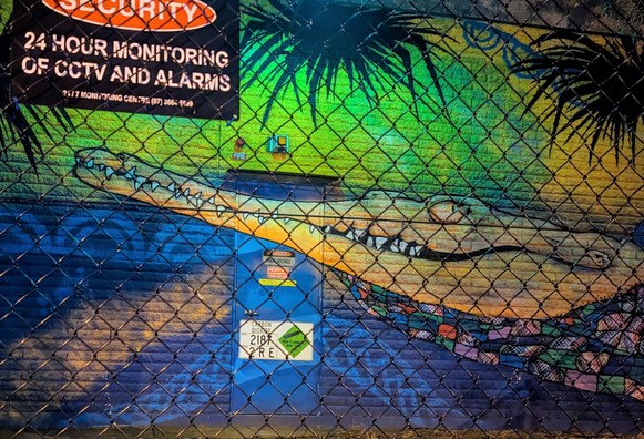 Street art of a croc (or maybe a garial) emerging from petal-strewn water. 
In the foreground a wire fence with a security notice warning of 24-hour cctv monitoring