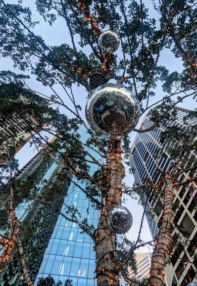 Looking up into the sky. 
Commercial high rise buildings. 
A eucalyptus. 
Large silver mirror balls reflecting the scene hang from the tree.