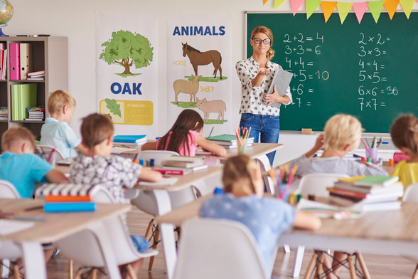 teaching career