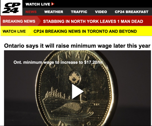 A video of a loonie on the CP24 page