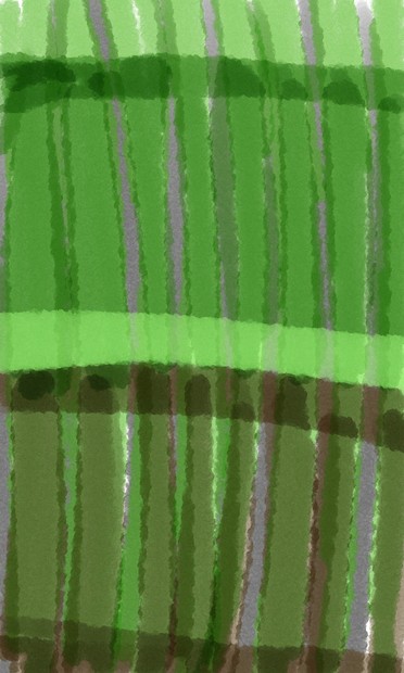 Arashiyama Bamboo Grove Forest in Kyoto