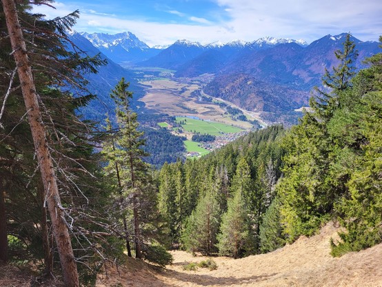 This captivating image showcases a serene valley nestled amidst towering mountains that stretch into the distance. The verdant landscape is rich with a diverse array of trees, including forests of larch, spruce, and pine, indicative of both tropical and subtropical as well as temperate coniferous forests. The majestic mountains, part of a sprawling mountain range, dominate the background, their peaks potentially snow-capped, adding a touch of majesty to the scene. The sky above is a canvas of s…