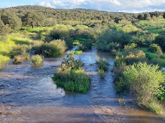 El Arroyo de Guadarrama fluyendo con abundante caudal después de las últimas y  beneficiosas lluvias caidas