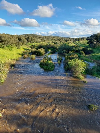 El Arroyo de Guadarrama fluyendo con abundante caudal después de las últimas y  beneficiosas lluvias caidas