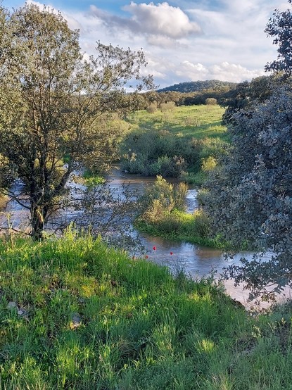 El Arroyo de Guadarrama fluyendo con abundante caudal después de las últimas y  beneficiosas lluvias caidas