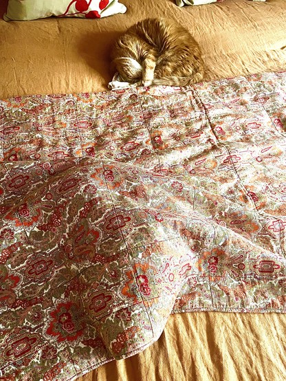 Two cats lying on top of a bed, a ginger one curled up and happy and the other (a little one-eyed black cat) cowering under a Paisley blanket, hidden from view.