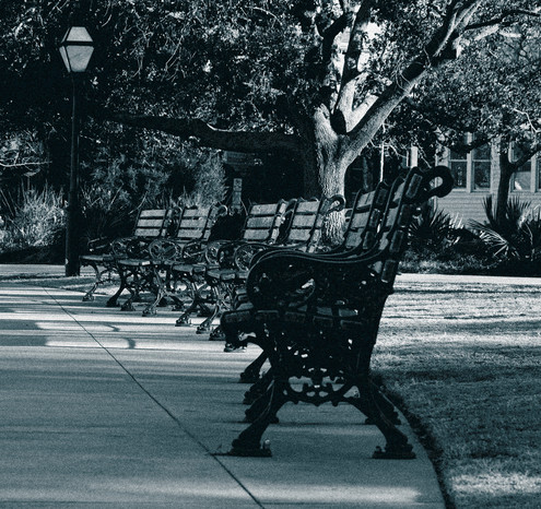 A monochrome (black and white) photograph with slight grain showing six iron-frame wooden benches at an angle low to the ground