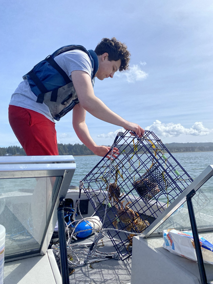 Me, dressed for the unexpectedly warm and sunny weather wearing a life jacket, preparing to shake out a cast of crabs from the trap and back into the bay. These crabs were all either too small or females. Behind me is the Oregon mainland, the eastern ridge of Netarts Bay.