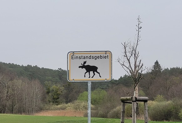 Farbfoto: Straßenschild mit Schatten Bild eines Elchs und dem Wort "Einstandsgebiet". 