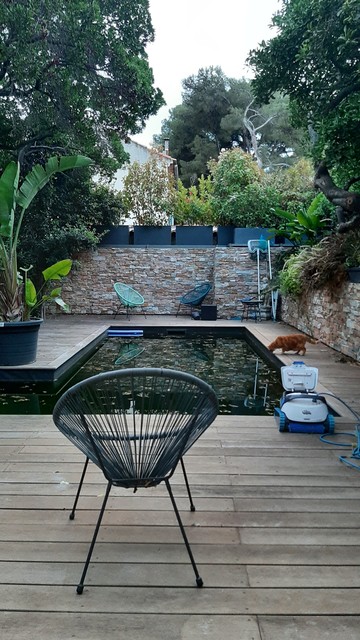 photo d'une piscine dans un jardin sous la pluie