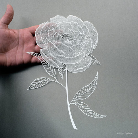 Rose réalisée en papier découpé.
Les feuilles sont découpées de sorte à que ne soient visibles que les nervures et les bords des feuilles.
Les pétales sont réalisés également avec des dizaines de découpes extrêmement fines, donnant l'impression d'un voile.
Une main est visible en partie sous la fleur : cela donne l'impression qu'elle est derrière un fin rideau.

Photo © Pippa Dyrlaga