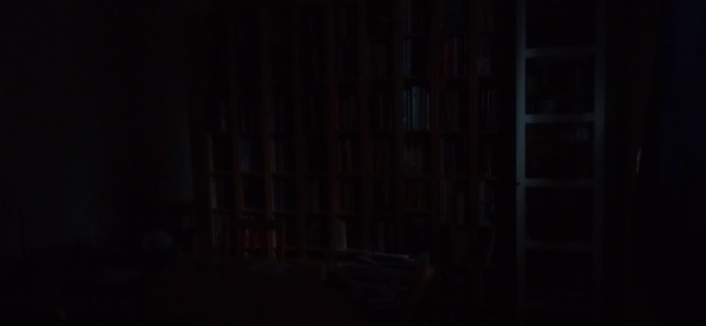 Photo in near-dark of bookshelves. Barely visible.