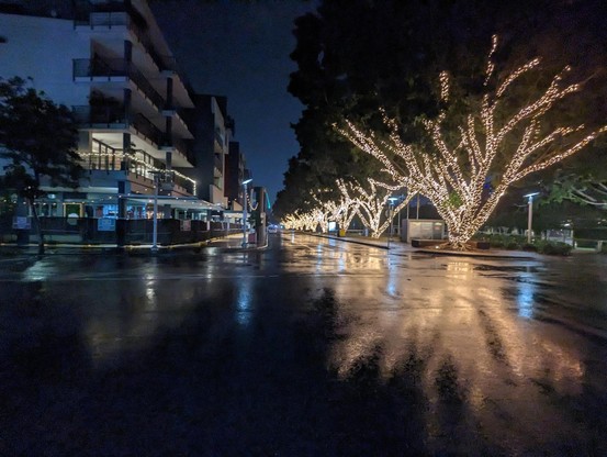 A city street at night. 
5+1 type apartment blocks to the left.
A line of trees to the right.
The trees are lit up with hundreds of LEDs around their trunks and main branches. 
The lights are reflected in the wet asphalt of the street.