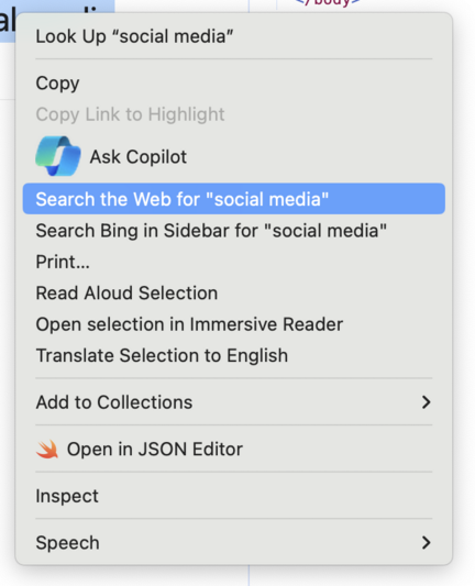 Screenshot of a context menu shown when right-clicking on selected text. One of the menu items show "Ask Copilot" with a rather huge Copilot logo, while most of the other menu items don't have icons.