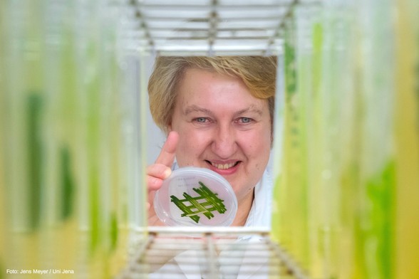 Prof. Dr. Maria Mittag mit Algenproben. Foto: Jens Meyer / Uni Jena