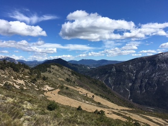 blue sky, white clouds, mountains all around. High enough so there're only bushes and grass left. Primary colors are green and beige