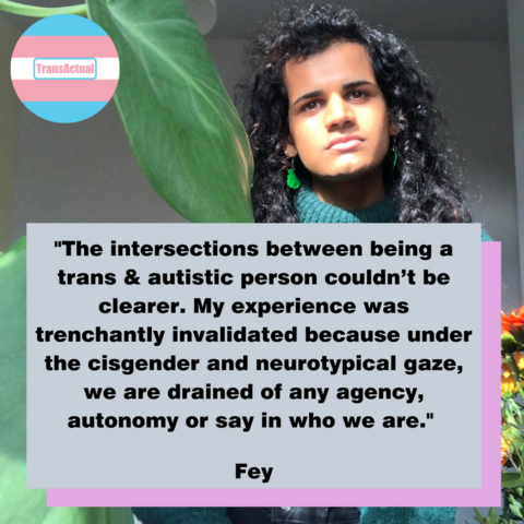 (Accessibility: Photo of Fey standing behind a plant with large green leaves. Fey is wearing a blue-green jumper and has leaf earrings. Text: "The intersections between being a trans & autistic person couldn’t be clearer. My experience was trenchantly invalidated because under the cisgender and neurotypical gaze, we are drained of any agency, autonomy or say in who we are.")