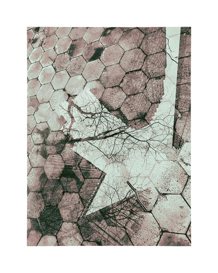 Reflection of tall city buildings and trees in a puddle on a plaza paved with hexagon shaped stone tiles. 