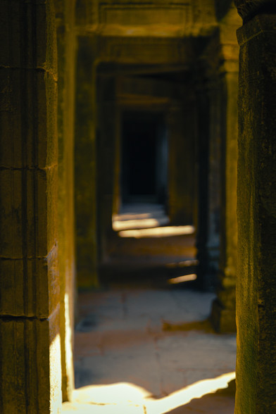 The halls in Ta Prohm create beautiful shadows and highlights with the morning sun. 