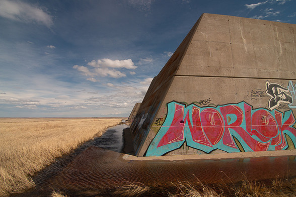 graffiti on a concrete wall surrounded by mown yellow grasses. In pink surrounded by teal letters, it says "worlock"