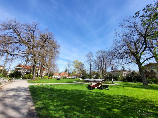 The scene captures a serene park adorned with lush greenery and a blend of mature and young trees, creating an inviting natural landscape. A well-maintained lawn blankets the ground, punctuated by benches that offer a tranquil spot for relaxation and contemplation. The sky above is a clear, vivid blue with a few scattered clouds, suggesting a perfect sunny day. The presence of diverse plant life, including a notable Maple tree, adds to the park's charm, making it an ideal setting for leisure an…