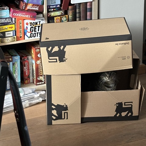Cat sitting in a box fort in front of shelves full of board games