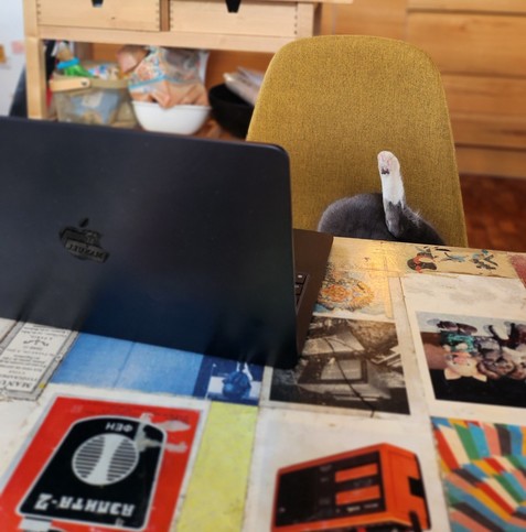 A picture of the back of a laptop placed on a colourful table. Cat leg is pertruding up from a chair as cat is cleaning itself.