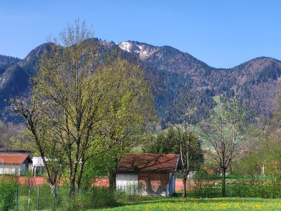 This captivating image showcases a quaint small building nestled in a lush grassy meadow, surrounded by a variety of trees, including notable maples that punctuate the landscape with their presence. The building, which features a distinctive red roof, adds a charming touch to the rural setting. In the background, majestic mountains rise, providing a dramatic backdrop under a vast, clear blue sky. The area exudes tranquility and natural beauty, with the verdant grass and blooming flowers indicat…