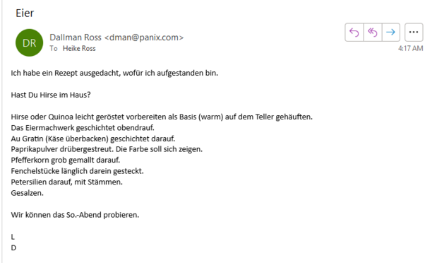 I will type the recipe in English here. In the screenshot (of my email to my wife), I typed it in German. Also, yes, I see my grammatical error in the German. Geeze, it was 4:17 AM! Waddaya want? :-)

Prepare lightly roasted millet or quinoa as a base (warm) heaped on the plate. [She put it in the casserole. That was fine.]
Layer the egg mixture on top.
Au gratin (gratinated cheese) layered on top.
Sprinkle with paprika powder. Let the color show.
Peppercorn coarsely grated on top.
Fennel piece…
