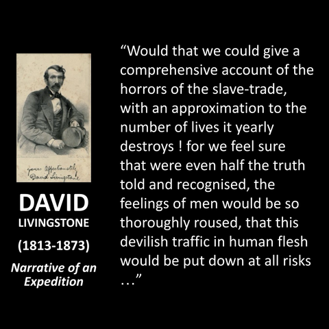 "Would that we could give a comprehensive account of the horrors of the slave-trade, with an approximation to the number of lives it yearly destroys ! for we feel sure that were even half the truth told and recognised, the feelings of men would be so thoroughly roused, that this devilish traffic in human flesh would be put down at all risks " ...