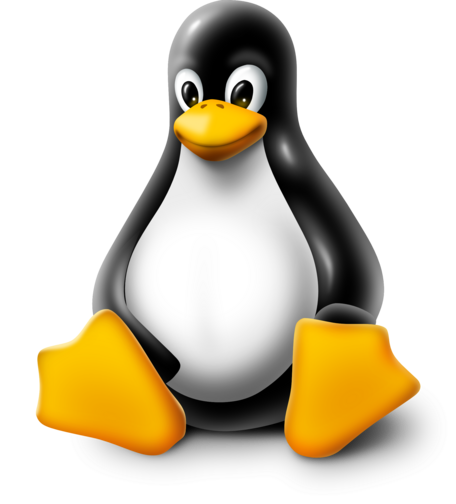 A picture of the Linux mascot, a cartoon rendering of a penguin.