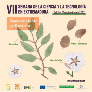 Cartel para la "VII Semana de la Ciencia y Tecnología en Extremadura" con ese encabezado y la fecha (del 2 al 17 noviembre de 2023) en la parte superior, con el subtítulo "Ciencia para la paz y el desarrollo" en un recuadro. En el centro, se ve una rama de encina señalada como "Quercus ilex", unas bellotas llamadas "Fruto de Quercus ilex" y un par de jaras señaladas como "Cistus ladanifer" (nombres científicos). En el faldón inferior, se lee "organizado por" + los diferentes logos de la Universidad de Extremadura, Servicio de Difusión de la Cultura Científica, Oficina para la Innovación, financiado por la Unión Europea, la Junta de Extremadura y la FUNDECYT-PCTEX