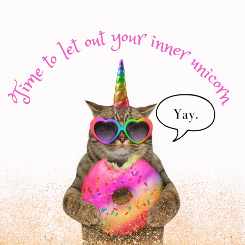  A tabby cat wearing rainbow-frame sunglasses, a rainbow unicorn horn, and holding a half-eaten rainbow coloured doughnut.
Caption: Time to let out your inner unicorn.
Cat says: Yay.