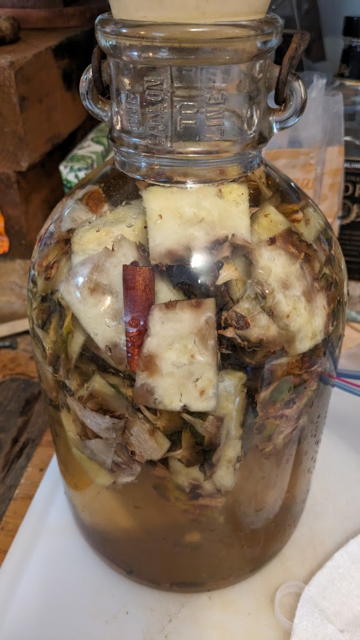 A gallon glass jug full of the ready to ferment tepache. pineapple rind pieces and bits of cinnamon stick can be seen floating in the water and some brown sugar has settled to the bottom.
