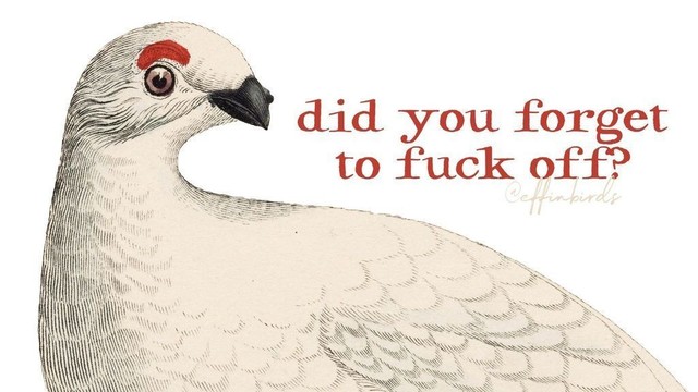 A painting of a bird next to the words "did you forget to fuck off?"
