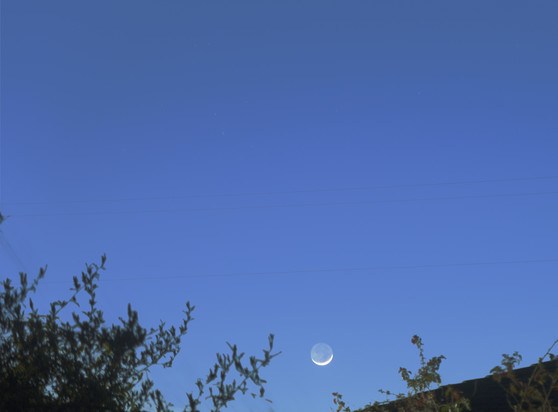 Crescent moon, with the crescent heavily overexposed and the rest of the disk well lit from earth shine, setting over some blurry and somewhat distorted bushes, flowers and a rooftop against a very blue sky. A few stars are faintly visible along with a slightly smudgier "star" which is the comet