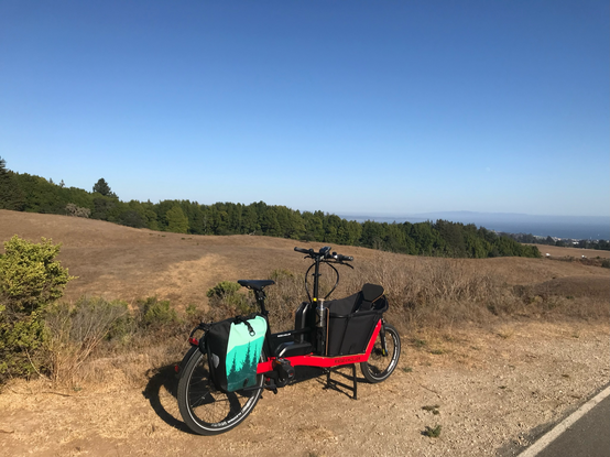 A red cargo ebike on a hilly bike path near a forest